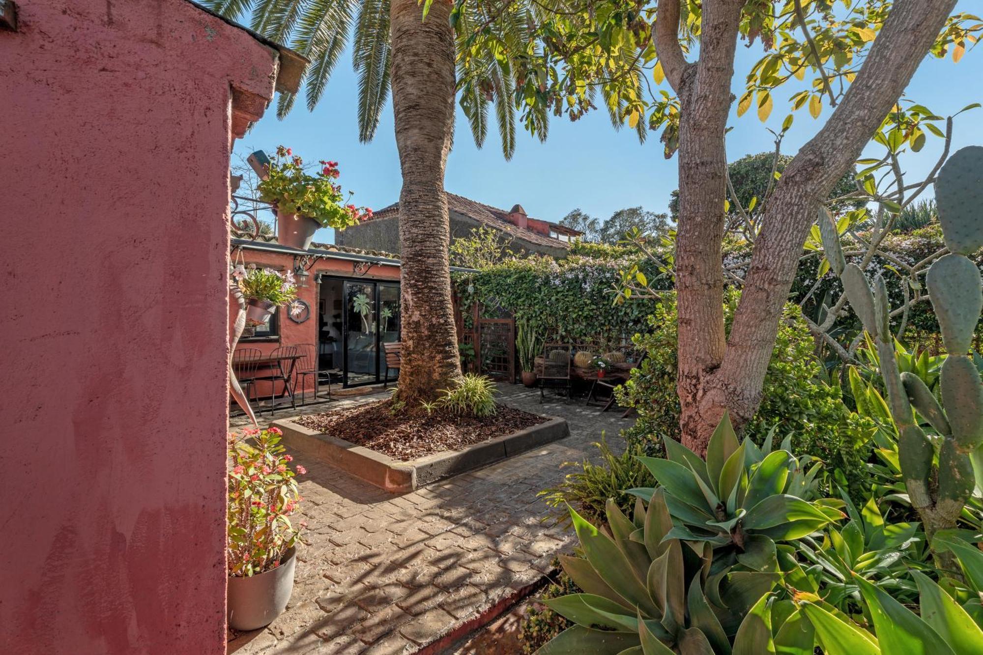 Casa Palmera - Private Paradise タコロンテ エクステリア 写真