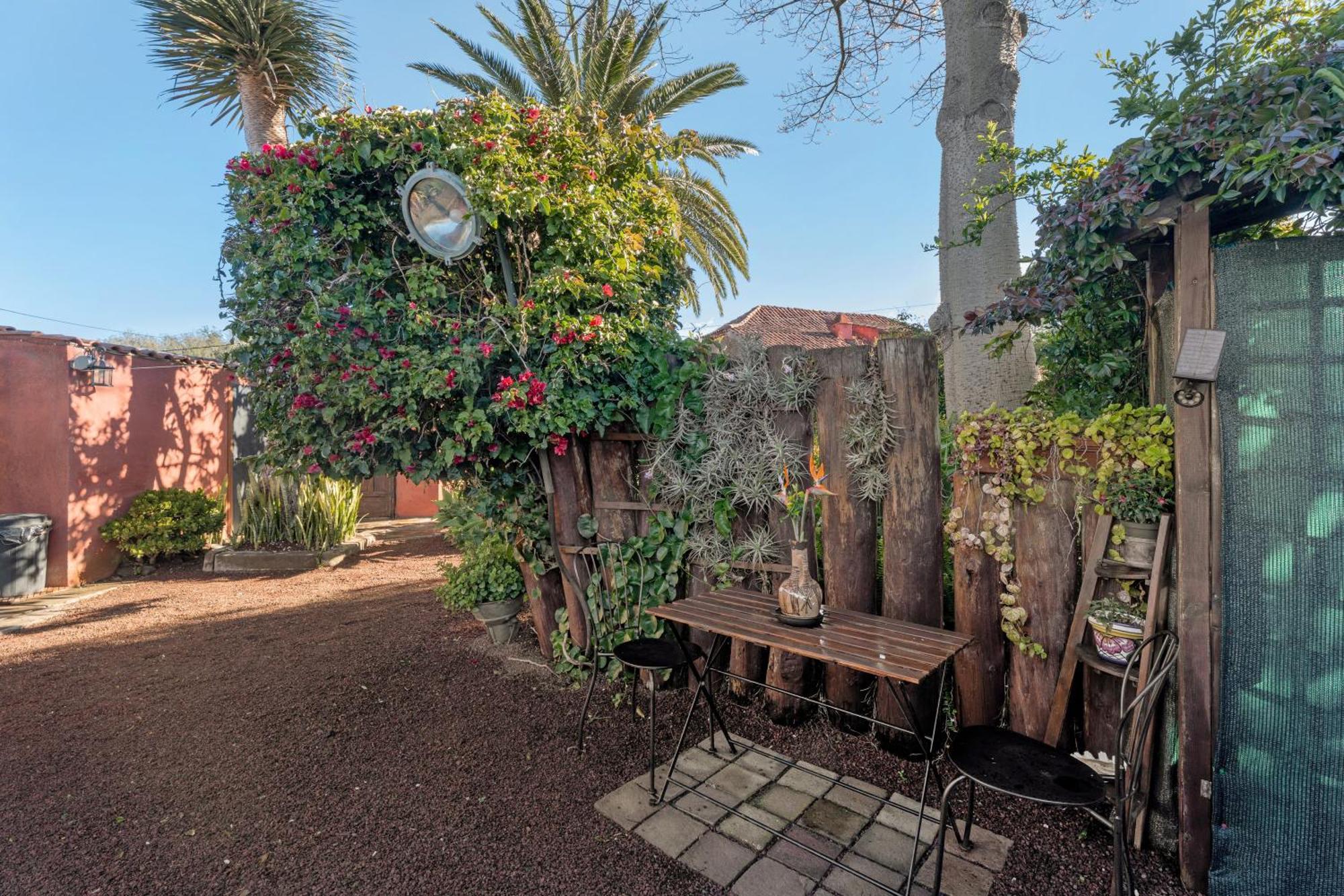 Casa Palmera - Private Paradise タコロンテ エクステリア 写真